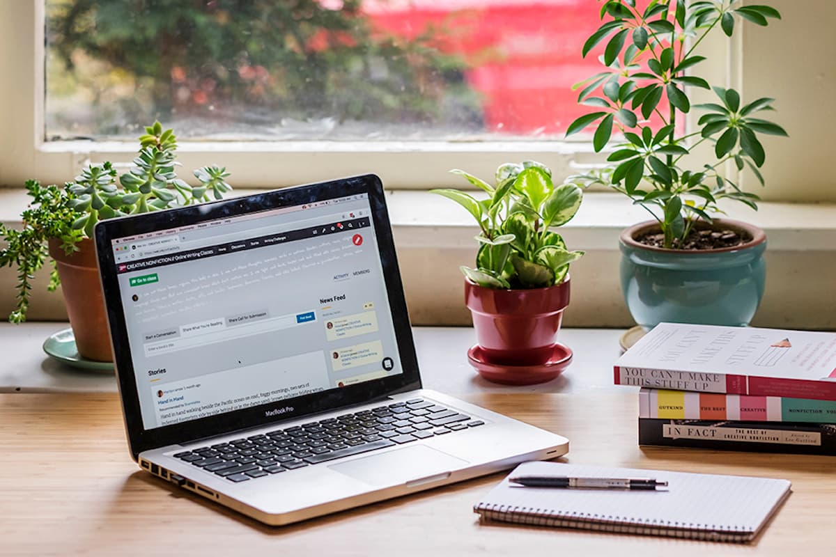 Der Ultimate Branding Course (UBC): Bringen Sie Ihre Marke auf ein neues Niveau