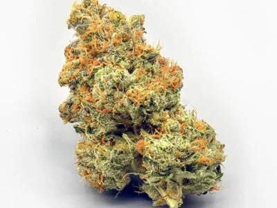 Die besten Samen für medizinische Zwecke – Cannabissamen kaufen legal in Deutschland