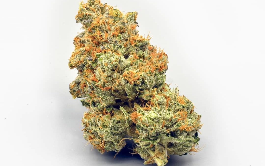 Die besten Samen für medizinische Zwecke – Cannabissamen kaufen legal in Deutschland