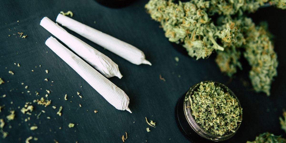 Die besten Samen für medizinische Zwecke – Cannabissamen kaufen legal in Deutschland